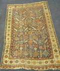 Shirvan throw rug