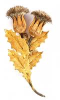 BUCCELLATI 18KT YELLOW GOLD THISTLE BROOCH