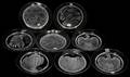 101163 LALIQUE CRYSTAL PLATES 197176 EIGHT DIA 8