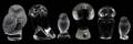 090189 CRYSTAL OWLS INCLUDING LALIQUE  KOSTA BODA