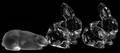 091359 WATERFORD CRYSTAL RABBITS TWO H 3 12 