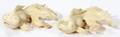 070404 CARVED IVORY KOI FISH PAIR L 4 12