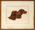 070050 PAUL WOOD LITHOGRAPH 8 X 10 IRISH SETTERS