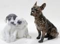 121259 ROYAL COPENHAGEN PORCELAIN FIGURES OF DOGS