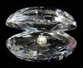 021439 SWAROVSKI CRYSTAL SHELL WIITH PEARL W 2 12