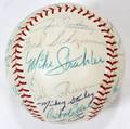 010380 1973 DETROIT TIGER SIGNED BASEBALL