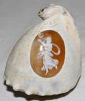 031545 CAMEOCARVED CONCH SHELL H 4