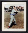022461 TED WILLIAMS AUTOGRAPHED PHOTOGRAPH H 16 W 20