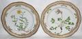071103 ROYAL COPENHAGEN FLORA DANICA PORCELAIN PLATES