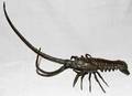 060066 JAPANESE BRONZE SPINY LOBSTER 14 X 26 X 15