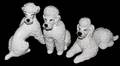 051121 ROSENTHAL PORCELAIN FIGURES OF POODLES THREE