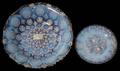 061179 SANDWICH OPALESCENT GLASS BOWL  CUP PLATE