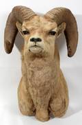 070155 ROCKY MOUNTAIN BIG HORN SHEEP TROPHY MOUNT