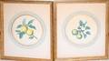 071289 WILLIAM HOOKER CIRCULAR FRAMED AQUATINTS PAIR