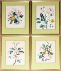 071288 HANDCOLORED FLORAL PRINTS SET OF FOUR FRAMED