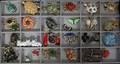 070341 COSTUME JEWELRY BROOCH COLLECTION 29 PIECES