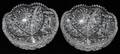 081513 CUT GLASS BOWLS EARLY 20TH C TWO DIA 8