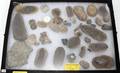 070451 FOSSILS BEADS ARROW HEAD ETC 40 PCS