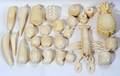 121195 AFRICAN IVORY FRUITS  VEGETABLES 24 PIECES