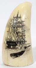 011273 IVORY TOOTH SCRIMSHAW H 3 12