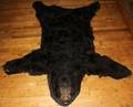 110326 BLACK BEAR RUG W 52 L 72