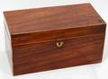 091433 ENGLISH MAHOGANY TEA CADDY C 1820 H 5