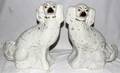 091448 STAFFORDSHIRE DOGS 19TH C PAIR