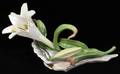 011517 BOEHM BISQUE LILY NUMBER 103