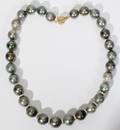120014 14KT YELLOW GOLD AND TAHITIAN PEARL NECKLACE