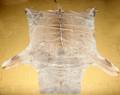 020089 KUDU HIDE 77 X 56