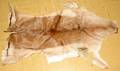 020096 IMPALA ANIMAL HIDE 46 X 20