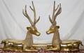 030113 THAI BRASS DEER SCULPTURES PAIR L 28
