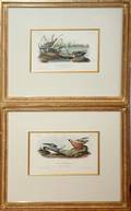032255 JT BOWEN OCTAVO ED AUDUBON LITHOGRAPHS TWO