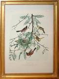 032253 J BIEN CHROMOLITHO ON PAPER AUDUBON EDITION