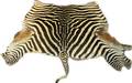 060347 AFRICAN ZEBRA HIDE W 54 L 71