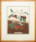 032361 GEORGE BROOKSHAW GB 17511823 PRINT 17 X 13