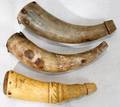 032375 ANTIQUE CARVED HORN POWDER HORNS 19TH C THREE