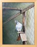 022356 GLEDHILL OILCANVAS 24 X 18 DOVE ON A PERCH