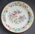 011576 ROYAL DOULTON WELLS BURRAGE CO PORCELAIN PLATE