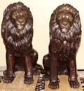 112097 BRONZE SEATED MALE LIONS PAIR H 53 L 39