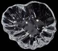 081123 BACCARAT CRYSTAL FREEFORM DISH W 8 12