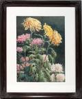090175 SIGNED GEORGE CLARE WATERCOLOR FLOWERS 17 X