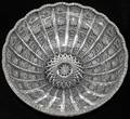 091370 CZECHOSLOVAKIAN CUT GLASS FRUIT BOWL H 5