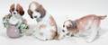111415 LLADRO FIGURINES THREE DOGS 6212 6574 6210