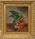 090347 A A WAITE OIL ON CANVAS 14 X 12 PARAKEET