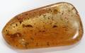 110420 UNMOUNTED AMBER STONE 3 L X 2 W