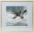 072491 PAUL MARGOCSY PRINT 1988 18 X 20 MALLARDS