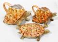110022 ROYAL BAYREUTH PORCELAIN TURTLE PITCHERS AND