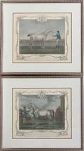 120260 ENGLISH ENGRAVINGS TWO 13 X 16 RACE HORSE