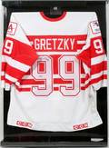 120235 WAYNE GRETZKY AUTOGRAPHED TEAM GRETZKY JERSEY